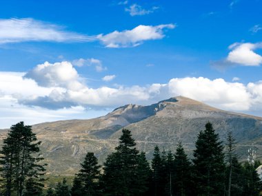 Bursa 'daki Uludağ' ın arka planında çam ağaçları ve bulutlu mavi gökyüzü var. Yüksek kalite fotoğraf