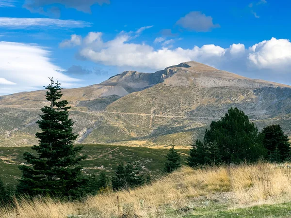 stock image Uludag in Bursa with cloudy blue sky in the background with pine trees. High quality photo