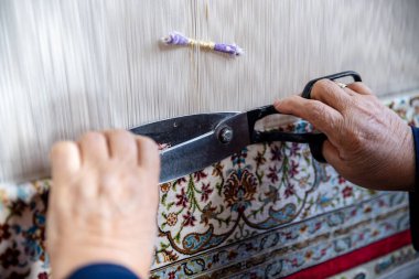 Halı dokuma, çalışkan bir kadın geleneksel halıyı elleriyle örer, halıyı elle örer, halıyı çıkartır.. 