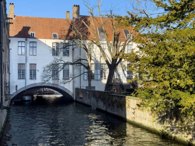 Belçika 'nın Bruges Brugge şehrindeki güzel kanal ve geleneksel evler. Yüksek kalite fotoğraf
