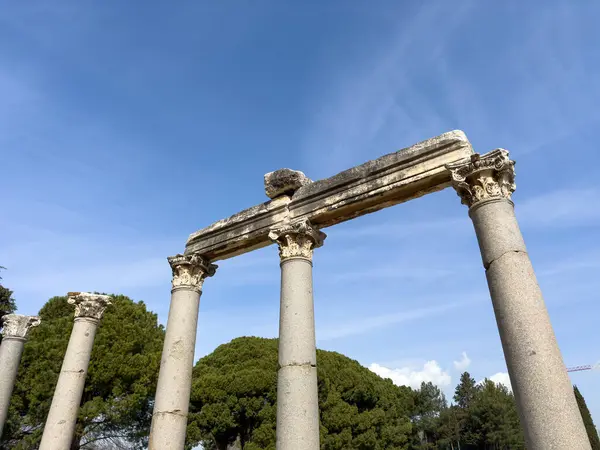 Celsus Kütüphanesi, Efes, Türkiye, İzmir 'deki Efes antik sitesinin kalıntıları. Unesco mirası. Antik Yunan kültürü ve mimarisi. 