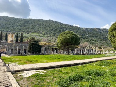Celsus Kütüphanesi, Efes, Türkiye, İzmir 'deki Efes antik sitesinin kalıntıları. Unesco mirası. Antik Yunan kültürü ve mimarisi. 