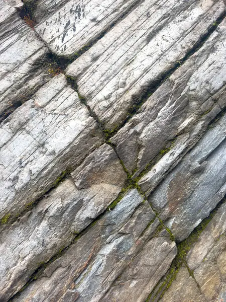 Gri kaya katmanlarının arka planı, zaman içinde oluşmuş jeolojik taş duvar. Yüksek kalite fotoğraf