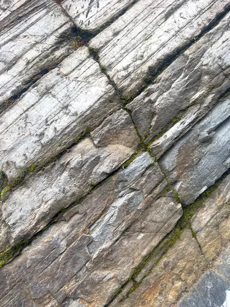 Gri kaya katmanlarının arka planı, zaman içinde oluşmuş jeolojik taş duvar. Yüksek kalite fotoğraf