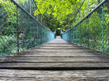 Ormanda boş asma köprü, yürüyüş konsepti. 