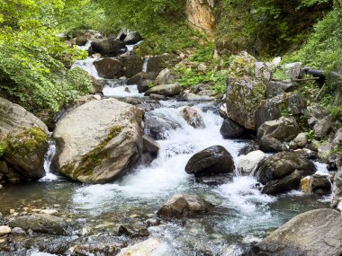 Ormanda akan nehir ve büyük kayalar, doğa konsepti.. 