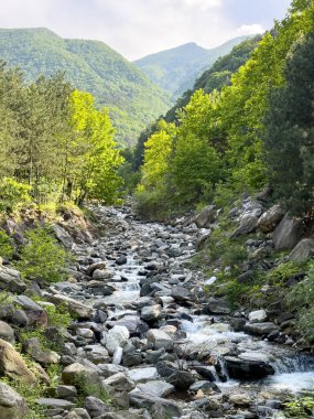 Ormanda akan nehir ve büyük kayalar, doğa konsepti.. 