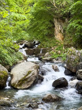 Ormanda akan nehir ve büyük kayalar, doğa konsepti.. 