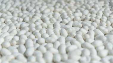 İpek kumaşın hammaddesi olan beyaz kozaların üst görünümü, tekstil endüstrisi arka plan kavramı. 
