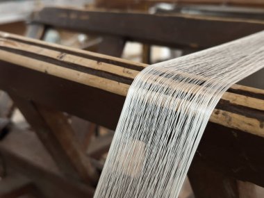 cocoons of white silkworms bred to produce silk , raw silk . High quality photo