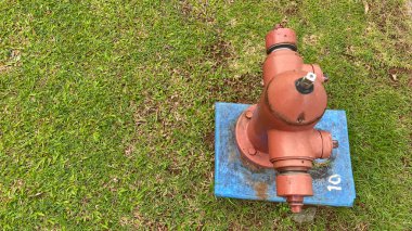 Parlak kırmızı izole yangın musluğu yol kenarında bir çim tarlasında duruyor..