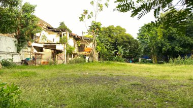 Terk edilmiş, büyük bir bahçesi olan bir ev.