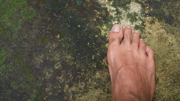 Çıplak erkek ayağı yosunlu zeminde duruyor.