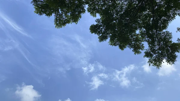 Hermoso Cielo Azul Con Nubes —  Fotos de Stock