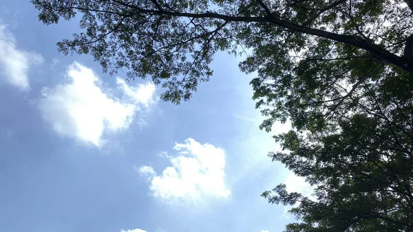 Красивое Голубое Небо Облаками — стоковое фото