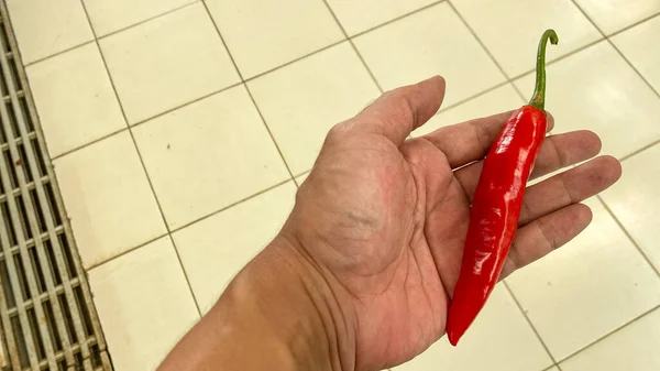 Röd Varm Chili Peppar Vit Bakgrund — Stockfoto