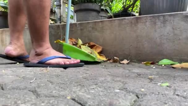 Jeune Femme Nettoyant Sol Maison Près Arbre Dans Jardin — Video