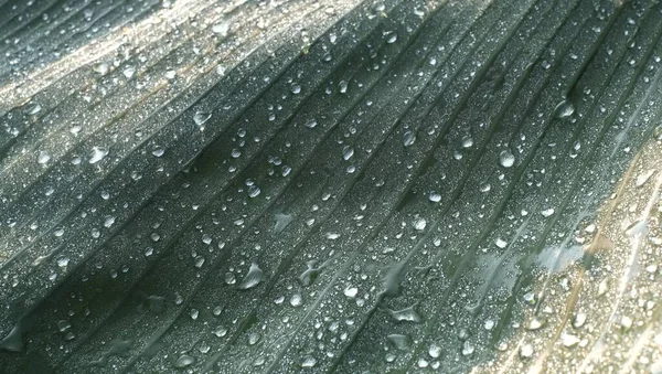 Bardağa su damlası.