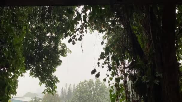 Rain Streams Flow Drain Pipe Roof Top Heavy Rain Storm — Stock Video