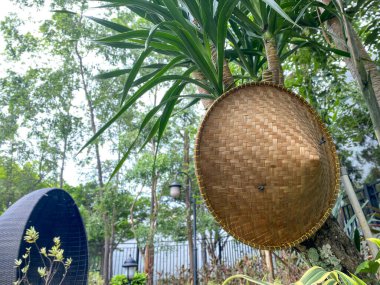 İşçi şapkalarının adı 