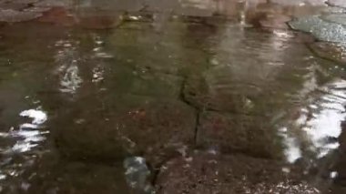 Beton yollarda sağanak yağmur, yağmur mevsimi kentsel topluluklar, yağmur suyu