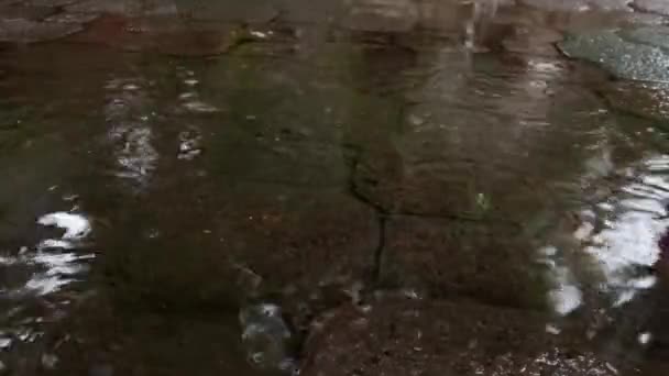 Erős Eső Betonutakon Esős Évszak Városi Közösségekkel Esővíz — Stock videók