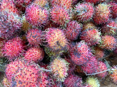 Taze ve olgun rambutan tatlı tropikal meyve.