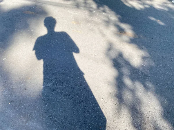 man's shadow and tree's shadow on textured asphalt