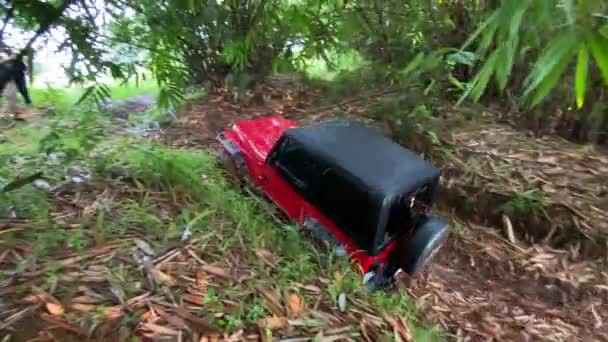 Kırmızı Bir Jeep Wrangler Bambu Ormanının Ortasında Kaygan Bir Yamaca — Stok video