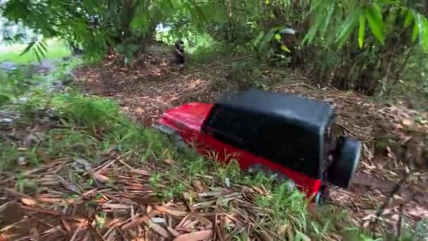 Červený Jeep Wrangler Snaží Vyšplhat Kluzký Svah Uprostřed Bambusového Lesa — Stock video