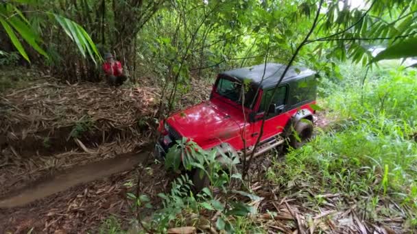 Červený Jeep Wrangler Snaží Vyšplhat Kluzký Svah Uprostřed Bambusového Lesa — Stock video