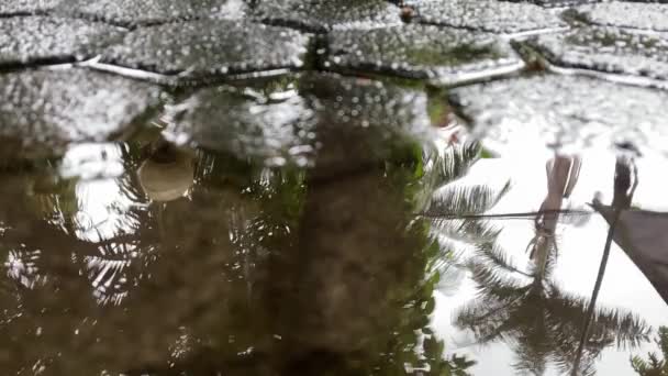 Zbliżenie Kropli Deszczu Spadających Kałużę Drzewami Refleksji Nieba Chodniku Miasta — Wideo stockowe