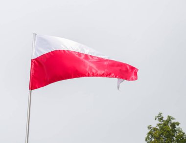 Gündüz vakti, mavi gökyüzünün arka planında Polonya 'nın ulusal bayrağı