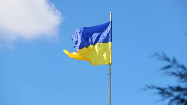 Ukrayna Nın Ulusal Bayrağı Sarı Mavi Gün Boyunca Bayrak Direğinde — Stok video