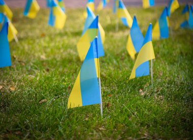 POLTAVA, UKRAINE - 29 Ağustos 2023 Ukrayna ulusal bayrakları Ukrayna-Rusya savaşında şehit düşen Ukrayna askerlerine bir övgü olarak