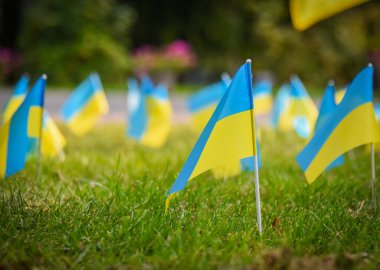 POLTAVA, UKRAINE - 29 Ağustos 2023 Ukrayna ulusal bayrakları Ukrayna-Rusya savaşında şehit düşen Ukrayna askerlerine bir övgü olarak