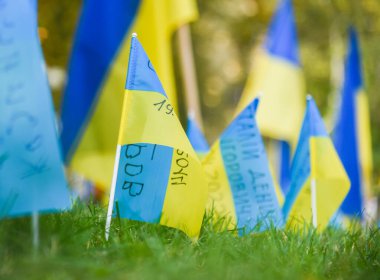 POLTAVA, UKRAINE - 29 Ağustos 2023 Ukrayna ulusal bayrakları Ukrayna-Rusya savaşında şehit düşen Ukrayna askerlerine bir övgü olarak