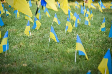 POLTAVA, UKRAINE - 29 Ağustos 2023 Ukrayna ulusal bayrakları Ukrayna-Rusya savaşında şehit düşen Ukrayna askerlerine bir övgü olarak