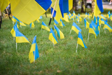 POLTAVA, UKRAINE - 29 Ağustos 2023 Ukrayna ulusal bayrakları Ukrayna-Rusya savaşında şehit düşen Ukrayna askerlerine bir övgü olarak