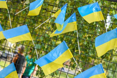 POLTAVA, UKRAINE - 29 Ağustos 2023 Ukrayna ulusal bayrakları Ukrayna-Rusya savaşında şehit düşen Ukrayna askerlerine bir övgü olarak