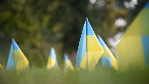 Poltava Ukraine August 2023 Українські Національні Прапори Данина Загиблим Українським — стокове відео