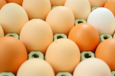 Karton kutuda tavuk yumurtası