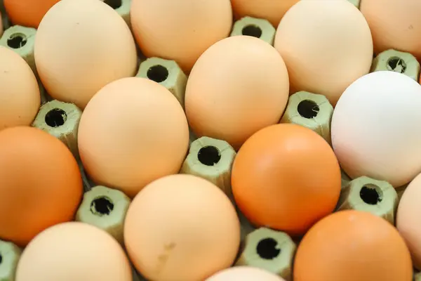 Куриные Яйца Картонной Коробке Лицензионные Стоковые Фото