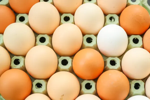 Huevos Pollo Una Caja Cartón Fotos De Stock Sin Royalties Gratis