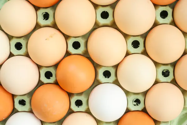 Huevos Pollo Una Caja Cartón Imagen De Stock