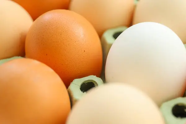 Huevos Pollo Una Caja Cartón Imagen De Stock
