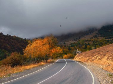 Empty morning highway through the pass in thick fog. Beautiful asphalt freeway, motorway, highway through of caucasian landscape mountains hills at cold weather in mid october. Ingushetia.