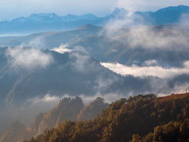 Soft focus. Mountains in a dense fog and sunny slope. Mystical landscape with beautiful sharp rocks in low clouds. Beautiful mountain foggy scenery on abyss edge with sharp forest slopes. Amazing land