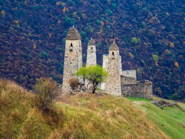 Majestic battle towers of Ingushetia. Beautiful historical monument, tourist attraction. Amazing medieval tower complex Erzi, one of the largest medieval castle-type tower villages.