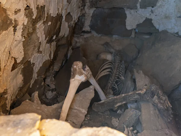 Selective focus. Skeleton is in the crypt. Old human skeleton in ancient tomb at archaeological excavation. The skeleton\'s leg is in the foreground.